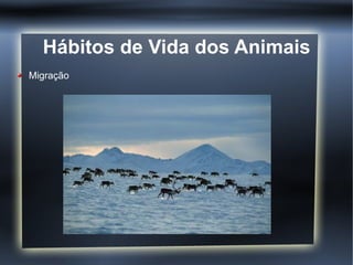 Hábitos de Vida dos Animais
Migração
 