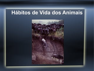 Hábitos de Vida dos Animais
 