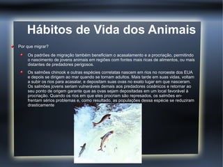 Hábitos de Vida dos Animais
Por que migrar?

    Os padrões de migração também beneficiam o acasalamento e a procriação, permitindo
    o nascimento de jovens animais em regiões com fontes mais ricas de alimentos, ou mais
    distantes de predadores perigosos.
    Os salmões chinook e outras espécies correlatas nascem em rios no noroeste dos EUA
    e depois se dirigem ao mar quando se tornam adultos. Mais tarde em suas vidas, voltam
    a subir os rios para acasalar, e depositam suas ovas no exato lugar em que nasceram.
    Os salmões jovens seriam vulneráveis demais aos predadores oceânicos e retornar ao
    seu ponto de origem garante que as ovas sejam depositadas em um local favorável à
    procriação. Quando os rios em que eles procriam são represados, os salmões en-
    frentam sérios problemas e, como resultado, as populações dessa espécie se reduziram
    drasticamente
 
