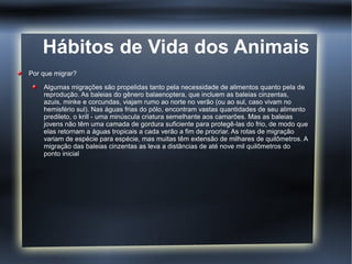 Hábitos de Vida dos Animais
Por que migrar?

    Algumas migrações são propelidas tanto pela necessidade de alimentos quanto pela de
    reprodução. As baleias do gênero balaenoptera, que incluem as baleias cinzentas,
    azuis, minke e corcundas, viajam rumo ao norte no verão (ou ao sul, caso vivam no
    hemisfério sul). Nas águas frias do pólo, encontram vastas quantidades de seu alimento
    predileto, o krill - uma minúscula criatura semelhante aos camarões. Mas as baleias
    jovens não têm uma camada de gordura suficiente para protegê-las do frio, de modo que
    elas retornam a águas tropicais a cada verão a fim de procriar. As rotas de migração
    variam de espécie para espécie, mas muitas têm extensão de milhares de quilômetros. A
    migração das baleias cinzentas as leva a distâncias de até nove mil quilômetros do
    ponto inicial
 