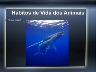 Hábitos de Vida dos Animais
Por que migrar?
 