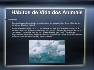 Hábitos de Vida dos Animais
Fotoperíodo

    Os animais evidentemente não têm calendários em suas paredes. O que informa a um
    animal que é hora de migrar?
    Alguns dependem do fotoperíodo - o volume de luz solar em cada determinado dia. À
    medida que os dias se tornam mais curtos, os instintos informam aos animais de que o
    inverno está chegando e que, por isso, é hora de viajar para o sul. Experiências
    demonstraram que animais expostos a fotoperíodos artificiais constantes agirão como se
    os fotoperíodos que experimentam fossem naturais
 