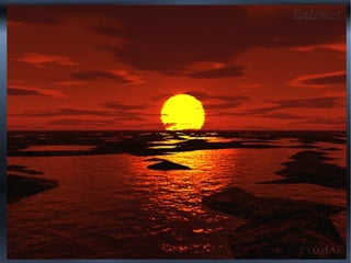 Hábitos de Vida dos Animais
O Sistema de navegação dos animais
 