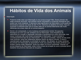 Hábitos de Vida dos Animais
Hibernação

    Podemos então dizer que hibernação é uma soneca longa? Não. Esses animais não
    estão somente dormindo, mas também sendo submetidos a mudanças fisiológicas que
    podem ser muito drásticas. O elemento mais significativo da hibernação é uma queda da
    temperatura corporal, às vezes de até 17,2°C. Veremos os detalhes em breve, mas por
    enquanto é suficiente dizer que os sinais vitais de um animal hibernando são muito
    diferentes dos sinais vitais de um animal desperto.
    Dormir, em comparação, é uma mudança principalmente mental. Há aspectos
    fisiológicos do sono que são similares aos da hibernação, como freqüência de
    batimentos do coração e respiração reduzidas e temperatura do corpo diminuída, mas
    essas mudanças são muito leves comparadas à hibernação. O sono também é
    consideravelmente fácil de ser interrompido - se você for acordado, mesmo de seu sono
    mais profundo, pode ficar totalmente desperto dentro de alguns minutos. O sono é
    caracterizado por alterações na atividade do cérebro. Na verdade, as ondas cerebrais
    de animais em hibernação se assemelham muito aos padrões das ondas cerebrais que
    emitem quando estão despertos, ainda que sejam um pouco suprimidas. Quando um
    animal desperta da hibernação, exibe muitos sinais de privação do sono e precisa dormir
    bastante nos próximos dias para se recuperar.
 