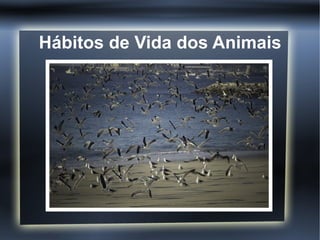 Hábitos de Vida dos Animais
 