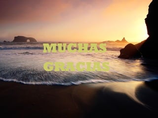 MUCHAS
GRACIAS

 