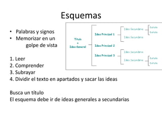 Esquemas
• Palabras y signos
• Memorizar en un
golpe de vista
1. Leer
2. Comprender
3. Subrayar
4. Dividir el texto en apartados y sacar las ideas
Busca un título
El esquema debe ir de ideas generales a secundarias
 