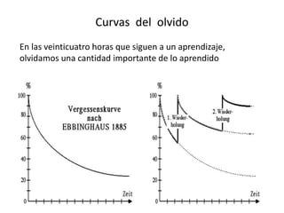 Curvas del olvido
En las veinticuatro horas que siguen a un aprendizaje,
olvidamos una cantidad importante de lo aprendido
 