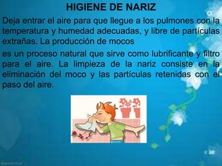 HIGIENE DE NARIZ
Deja entrar el aire para que llegue a los pulmones con la
temperatura y humedad adecuadas, y libre de partículas
extrañas. La producción de mocos
es un proceso natural que sirve como lubrificante y filtro
para el aire. La limpieza de la nariz consiste en la
eliminación del moco y las partículas retenidas con el
paso del aire.
 