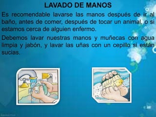 LAVADO DE MANOS
Es recomendable lavarse las manos después de ir al
baño, antes de comer, después de tocar un animal, o si
estamos cerca de alguien enfermo.
Debemos lavar nuestras manos y muñecas con agua
limpia y jabón, y lavar las uñas con un cepillo si están
sucias.
 