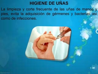 HIGIENE DE UÑAS
La limpieza y corte frecuente de las uñas de manos y
pies, evita la adquisición de gérmenes y bacterias así
como de infecciones.
 