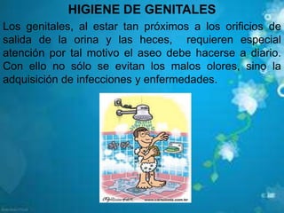 HIGIENE DE GENITALES
Los genitales, al estar tan próximos a los orificios de
salida de la orina y las heces, requieren especial
atención por tal motivo el aseo debe hacerse a diario.
Con ello no sólo se evitan los malos olores, sino la
adquisición de infecciones y enfermedades.
 