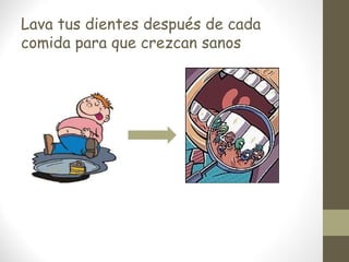 Lava tus dientes después de cada
comida para que crezcan sanos