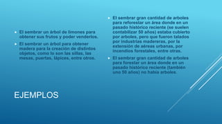EJEMPLOS
 El sembrar un árbol de limones para
obtener sus frutos y poder venderlos.
 El sembrar un árbol para obtener
madera para la creación de distintos
objetos, como lo son las sillas, las
mesas, puertas, lápices, entre otros.
 El sembrar gran cantidad de arboles
para reforestar un área donde en un
pasado histórico reciente (se suelen
contabilizar 50 años) estaba cubierto
por arboles, pero que fueron talados
por industrias madereras, por la
extensión de aéreas urbanas, por
incendios forestales, entre otras.
 El sembrar gran cantidad de arboles
para forestar un área donde en un
pasado histórico reciente (también
uno 50 años) no había arboles.
 