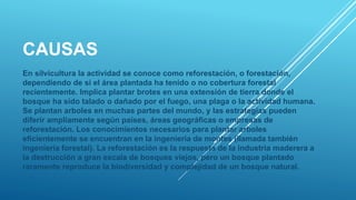 CAUSAS
En silvicultura la actividad se conoce como reforestación, o forestación,
dependiendo de si el área plantada ha tenido o no cobertura forestal
recientemente. Implica plantar brotes en una extensión de tierra donde el
bosque ha sido talado o dañado por el fuego, una plaga o la actividad humana.
Se plantan arboles en muchas partes del mundo, y las estrategias pueden
diferir ampliamente según países, áreas geográficas o empresas de
reforestación. Los conocimientos necesarios para plantar arboles
eficientemente se encuentran en la ingeniería de montes (llamada también
ingeniería forestal). La reforestación es la respuesta de la industria maderera a
la destrucción a gran escala de bosques viejos, pero un bosque plantado
raramente reproduce la biodiversidad y complejidad de un bosque natural.
 