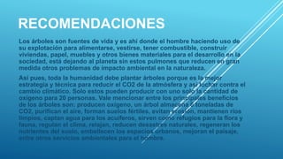 RECOMENDACIONES
Los árboles son fuentes de vida y es ahí donde el hombre haciendo uso de
su explotación para alimentarse, vestirse, tener combustible, construir
viviendas, papel, muebles y otros bienes materiales para el desarrollo en la
sociedad, está dejando al planeta sin estos pulmones que reducen en gran
medida otros problemas de impacto ambiental en la naturaleza.
Así pues, toda la humanidad debe plantar árboles porque es la mejor
estrategia y técnica para reducir el CO2 de la atmósfera y así luchar contra el
cambio climático. Solo estos pueden producir con uno solo la cantidad de
oxígeno para 20 personas. Vale mencionar entre los principales beneficios
de los árboles son: producen oxígeno, un árbol almacena 6 toneladas de
CO2, purifican el aire, forman suelos fértiles, evitan erosión, mantienen ríos
limpios, captan agua para los acuíferos, sirven como refugios para la flora y
fauna, regulan el clima, relajan, reducen desastres naturales, regeneran los
nutrientes del suelo, embellecen los espacios urbanos, mejoran el paisaje,
entre otros servicios ambientales para el hombre.
 
