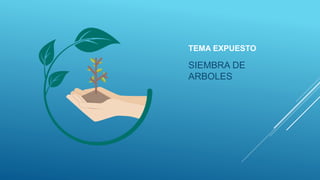 TEMA EXPUESTO
SIEMBRA DE
ARBOLES
 