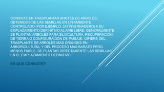 CONSISTE EN TRASPLANTAR BROTES DE ARBOLES,
OBTENIDOS DE LAS SEMILLAS EN UN AMBIENTE
CONTROLADO (POR EJEMPLO, UN INVERNADERO) A SU
EMPLAZAMIENTO DEFINITIVO AL AIRE LIBRE. GENERALMENTE
SE PLANTAN ARBOLES PARA SILVICULTURA, RECUPERACIÓN
DE TIERRA O CONFIGURACIÓN DE PAISAJE. DIFIERE DEL
TRASPLANTE DE ARBOLES MAS GRANDES EN
ARBORICULTURA, Y DEL PROCESO MAS BARATO PERO
MENOS FIABLE, DE PLANTAR DIRECTAMENTE LAS SEMILLAS
EN EL EMPLAZAMIENTO DEFINITIVO.
EN QUE CONSISTE?
 