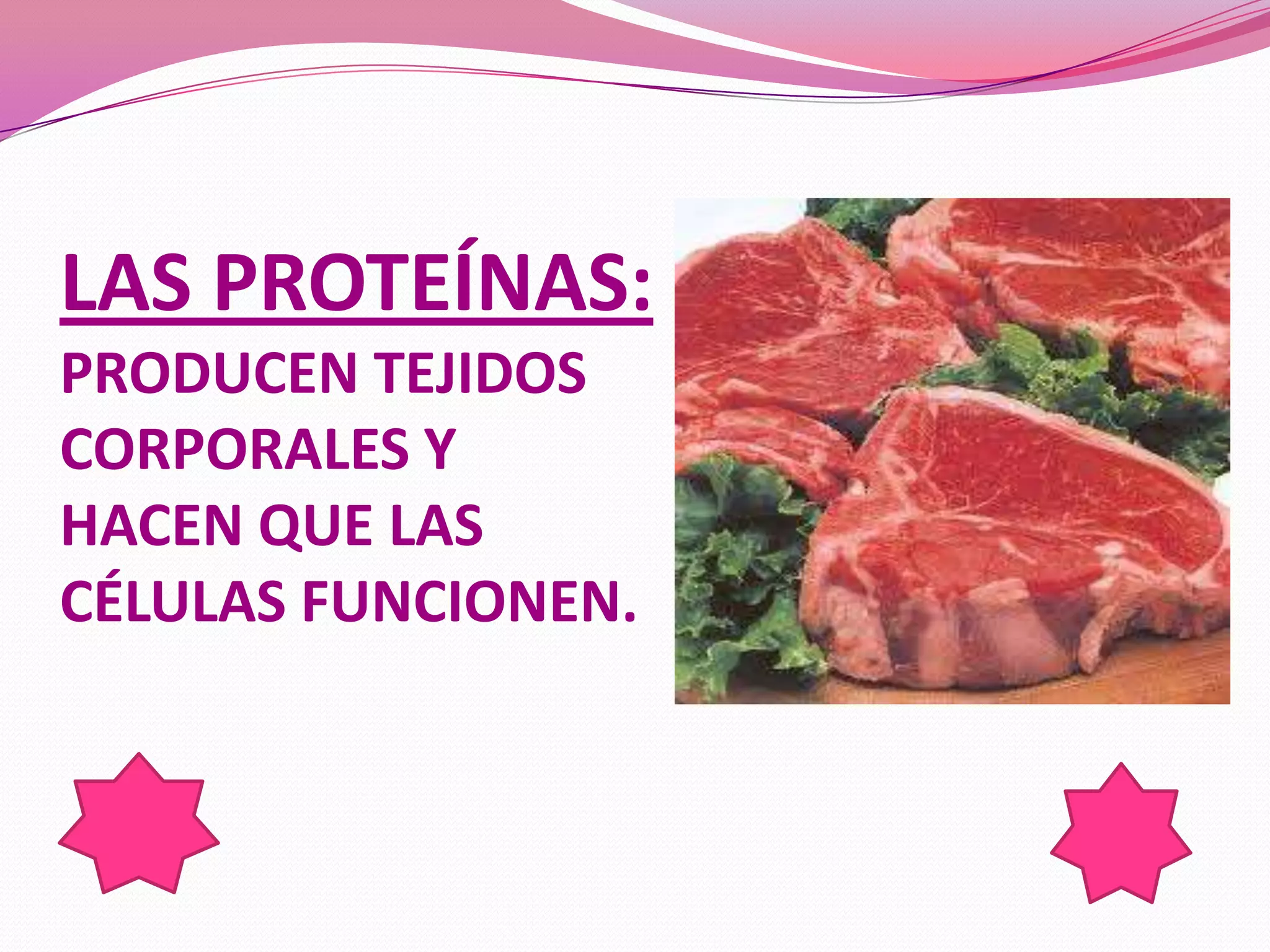 LAS PROTEÍNAS:
PRODUCEN TEJIDOS
CORPORALES Y
HACEN QUE LAS
CÉLULAS FUNCIONEN.