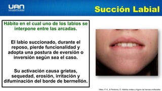 Labio Reposo Habitos Orales fonoaudiologia.presentacion ptx | PPTX