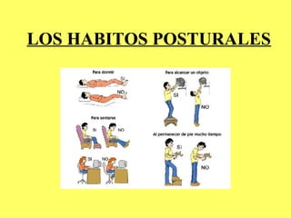 LOS HABITOS POSTURALES
 
