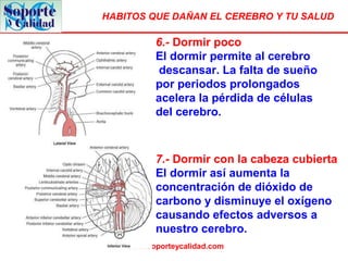 HABITOS QUE DAÑAN EL CEREBRO Y TU SALUD
www.soporteycalidad.com
6.- Dormir poco
El dormir permite al cerebro
descansar. La falta de sueño
por periodos prolongados
acelera la pérdida de células
del cerebro.
7.- Dormir con la cabeza cubierta
El dormir así aumenta la
concentración de dióxido de
carbono y disminuye el oxígeno
causando efectos adversos a
nuestro cerebro.
 