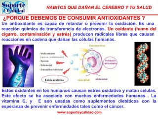HABITOS QUE DAÑAN EL CEREBRO Y TU SALUD
www.soporteycalidad.com
Estos oxidantes en los humanos causan estrés oxidativo y matan células.
Este efecto se ha asociado con muchas enfermedades humanas . La
vitamina C, y E son usadas como suplementos dietéticos con la
esperanza de prevenir enfermedades tales como el cáncer.
Un antioxidante es capaz de retardar o prevenir la oxidación. Es una
reacción química de transferencia de electrones. Un oxidante (humo del
cigarro, contaminación y estrés) producen radicales libres que causan
reacciones en cadena que dañan las células humanas.
¿PORQUE DEBEMOS DE CONSUMIR ANTIOXIDANTES ?
 
