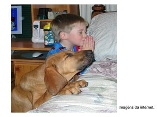 Imagens da internet.
 