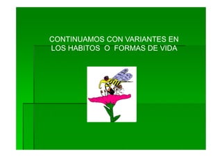 CONTINUAMOS CON VARIANTES EN
LOS HABITOS O FORMAS DE VIDA
 