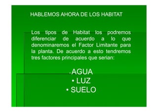 HABLEMOS AHORA DE LOS HABITAT


Los tipos de Habitat los podremos
diferenciar de acuerdo a lo que
denominaremos el Factor Limitante para
la planta. De acuerdo a esto tendremos
tres factores principales que serian:

              •AGUA
               • LUZ
             • SUELO
 