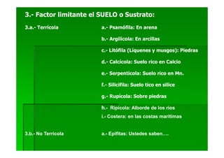 3.- Factor limitante el SUELO o Sustrato:
3.a.- Terrícola         a.- Psamófila: En arena

                        b.- Argilícola: En arcillas

                        c.- Litófila (Líquenes y musgos): Piedras

                        d.- Calcícola: Suelo rico en Calcio

                        e.- Serpenticola: Suelo rico en Mn.

                        f.- Silicifila: Suelo tico en silice

                        g.- Rupícola: Sobre piedras

                        h.- Ripícola: Alborde de los rios
                        i.- Costera: en las costas maritimas


3.b.- No Terricola      a.- Epifitas: Ustedes saben….
 