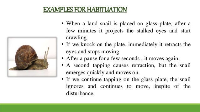 Habituation