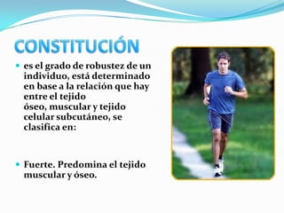  es el grado de robustez de un
 individuo, está determinado
 en base a la relación que hay
 entre el tejido
 óseo, muscular y tejido
 celular subcutáneo, se
 clasifica en:


 Fuerte. Predomina el tejido
 muscular y óseo.
 