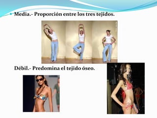  Media.- Proporción entre los tres tejidos.




 Débil.- Predomina el tejido óseo.
 