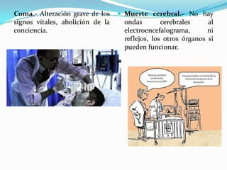 Coma.- Alteración grave de los     Muerte cerebral.- No hay
signos vitales, abolición de la    ondas        cerebrales     al
conciencia.                        electroencefalograma,       ni
                                   reflejos, los otros órganos si
                                   pueden funcionar.
 