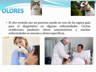  El olor emitido por un paciente puede ser uno de los signos guía
  para el diagnóstico en algunas enfermedades. Ciertas
  condiciones producen olores característicos y muchas
  enfermedades se asocian a olores específicos.
 