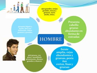 ojos grandes, orejas
                            grandes, toscas y
                              gruesas, nariz
                              ancha, tosca,



                                                     Presenta
 presenta bigote y
                                                      cabello
  barba, boca no                                      grueso
delineada, labios                                  abundante en
gruesos y grandes,
                                                     forma de
                                                     entradas



                                                frente
                                            amplia, cejas
            piel gruesa, voz                abundantes y
           grave, mandíbula
          prominente, dientes               gruesas, pesta
           grandes y chuecos                      ñas
                                            cortas, lisas y
                                               gruesas
 