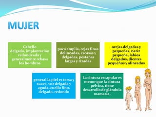 Cabello                                           orejas delgadas y
                           poco amplia, cejas finas
delgado, implantación                                     pequeñas, nariz
                            delineadas, escasas y
    redondeada y                                          pequeña, labios
                             delgadas, pestañas
 generalmente rebasa                                     delgados, dientes
                              largas y rizadas
     los hombros                                       pequeños y alineados


                                         La cintura escapular es
            general la piel es tersa y
                                          menor que la cintura
              suave, voz delgada y
                                              pélvica, tiene
               aguda, cuello fino,
                                         desarrollo de glándula
               delgado, redondo
                                                mamaria,
 