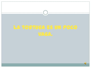 La tortuga es un poco
        vaga.
 