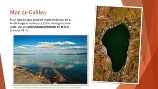 Mar de Galilea
Es un lago de agua dulce de origen tectónico, de 21
km de longitud norte-sur y 13 km de longitud este-
oeste, con una profundidad promedio de 25.6 m
(máxima 48 m)
https://buscandoajesus.wordpress.com/articulos/el-sector-de-la-pesca-en-el-mar-de-galilea
 