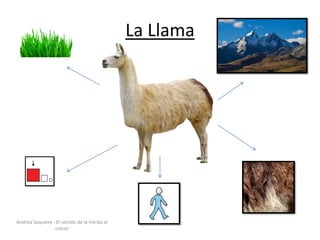 La Llama
Andrea Sequeira - El sonido de la hierba al
crecer
 