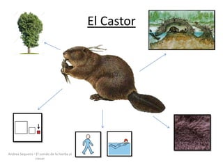 El Castor
Andrea Sequeira - El sonido de la hierba al
crecer
 