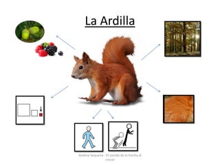 La Ardilla
Andrea Sequeira - El sonido de la hierba al
crecer
 