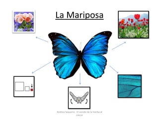 La Mariposa
Andrea Sequeira - El sonido de la hierba al
crecer
 