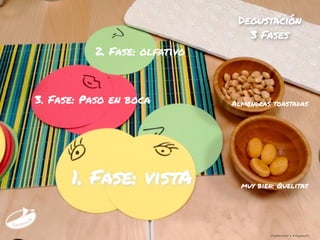 ¡Hablemos! • #rayaworx
Degustación
3 Fases
¡Hablemos! • #rayaworx
muy bien: Quelitas
Almendras toastadas
1. Fase: vistA
2. Fase: olfativo
3. Fase: Paso en boca
 