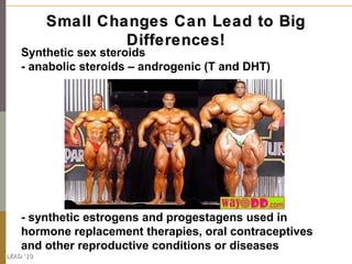 Small Changes Can Lead to Big
                    Differences!
    Synthetic sex steroids
    - anabolic steroids – androg...