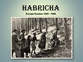 HABRICHA
Europe Exodus 1945 - 1948

 