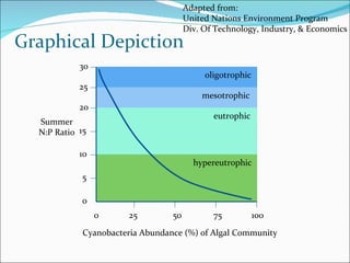 0 25 30 20 15 10 5 Summer N:P Ratio Cyanobacteria Abundance (%) of Algal Community 0 25 50 75 100 oligotrophic mesotrophic...