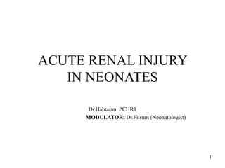 ACUTE RENAL INJURY
IN NEONATES
Dr.Habtamu PCHR1
MODULATOR: Dr.Fitsum (Neonatologist)
1
 