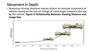 human factor and road safety | PPTX